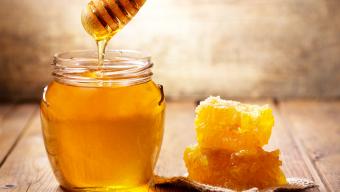 honey image