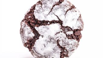 hot chocolate crinkle cookies