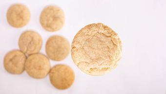 snickerdoodle cookie