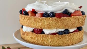 sponge cake with berries and whipped cream