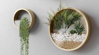 terrarium wall planters