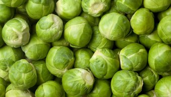 Brussels sprouts are sexy!