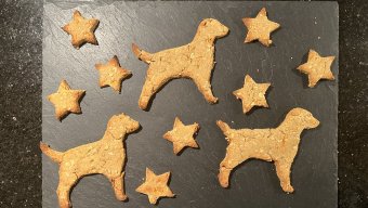 Dog Treats with Peanut Butter, Banana and Carrot 