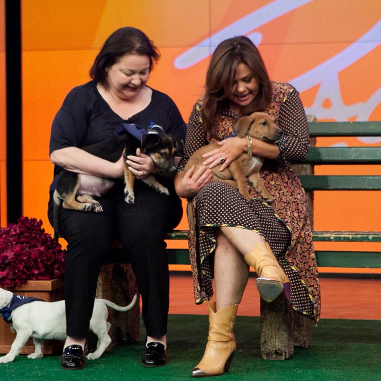 Rachael Ray + Rescue Dogs