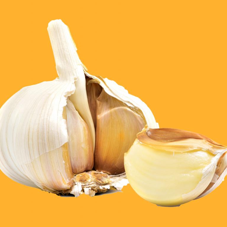 garlic bulb