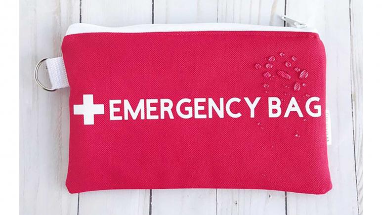 Insulated Emergency Bag