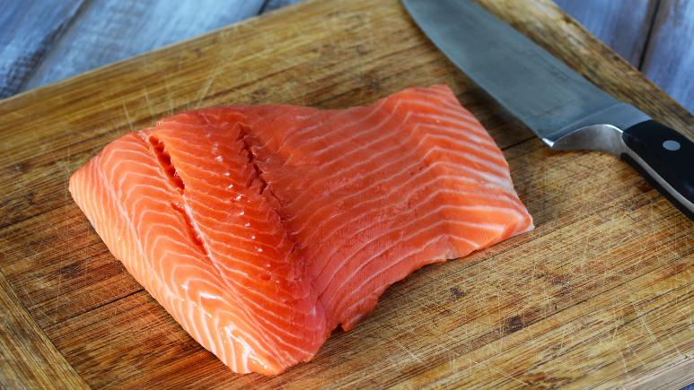 salmon