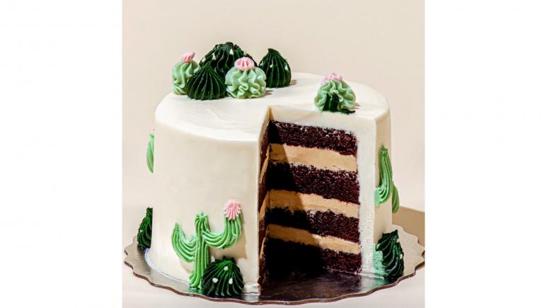 cactus cake